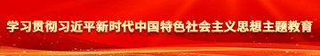 少萝曰逼学习贯彻习近平新时代中国特色社会主义思想主题教育